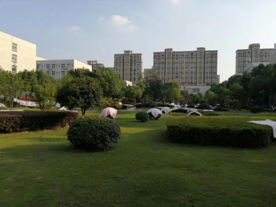 (图为同学们“晒被子”)